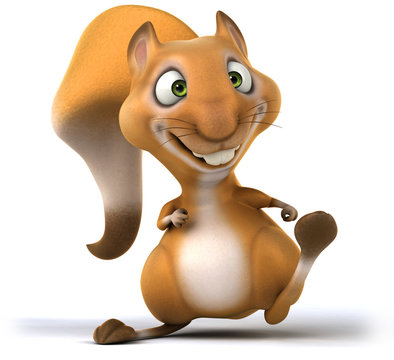Squirrel