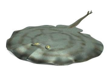 realistic 3d render of stingray