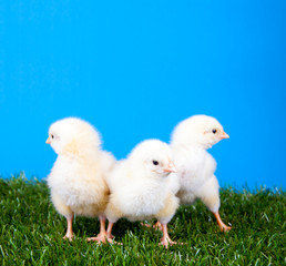 Ostern