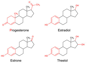 Structural formulas of female sex hormones with marked fragments