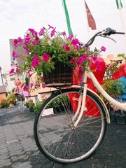 Fototapeta na wymiar Flowers in basket bike