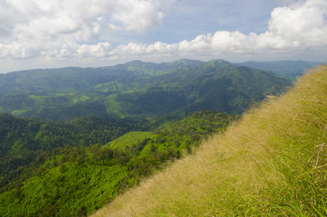Obraz premium Yellow grassland on mountains in autumn