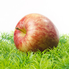 red apple lying on green grass