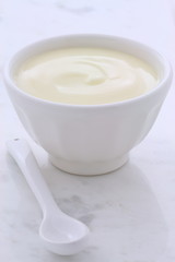 Fresh plain yogurt