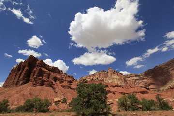 Fototapeta premium capitol Reef