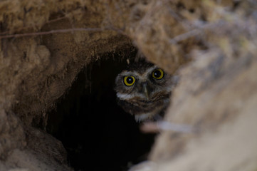 what r u staring? GET OFF!