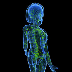 Anatomy of female lymphatic system in black