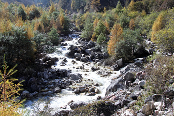 Mountain river