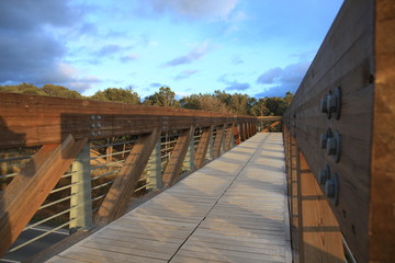 Camini De Santiago © alecki