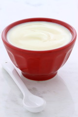 Fresh plain yogurt