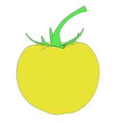cartoon image of yellow tomato