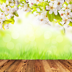 Spring background with free space for text