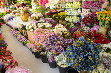 Colorful flowers in a flower shop on a market