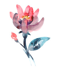Fototapeta premium Pink flower