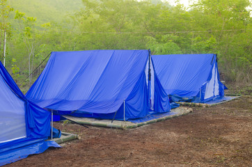 camping tent on a natural field in the morning light