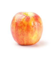 Cripps pink apple 5D3AU_2022