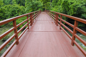 Bridge to the tropical forest in Khao Yai National Park, Thailand