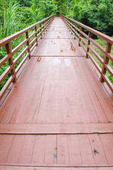 Obraz premium Bridge to the tropical forest in Khao Yai National Park, Thailand