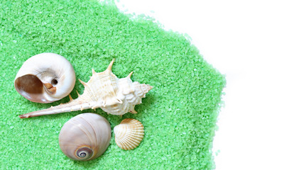 bright green  bath salt and seashells