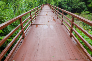 Obraz premium Bridge to the tropical forest in Khao Yai National Park, Thailand