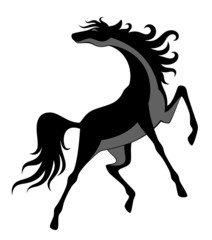 Black horse