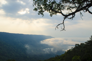 Panorama View Pha Deaw Dai Cliffs of The Khao Yai National Park in Thailand