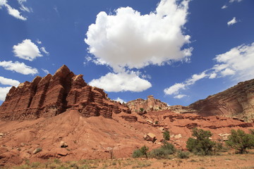 Fototapeta premium capitol Reef