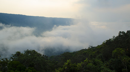 Panorama View Pha Deaw Dai Cliffs of The Khao Yai National Park