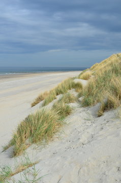 Dunes, beach and sea in Renesse, Zeeland, Netherlands