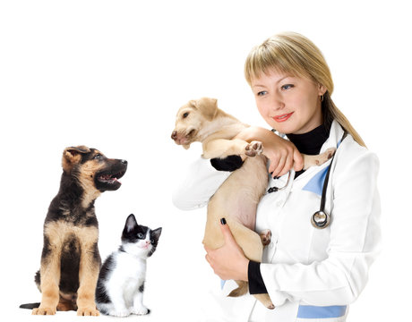 vet and Puppy and kitten