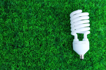 Energy saving light bulb on green grass background