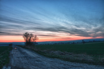 Lonely tree and beautiful sky after sunset hdr
