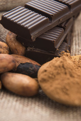 Cocoa (cacao) beans with chocolate