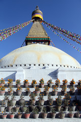 Flowers and stupa