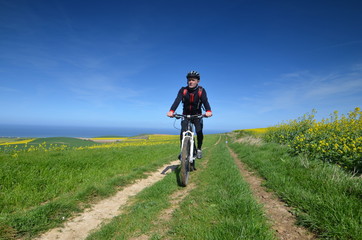 Naklejka premium vtt au printemps