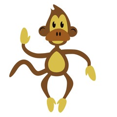 nice monkey on white background