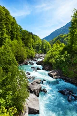 Foto op Plexiglas Levendig Zwitsers landschap met zuivere rivierstroom © Sergey Novikov