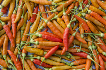 The combined, dried chillies are many red pigments