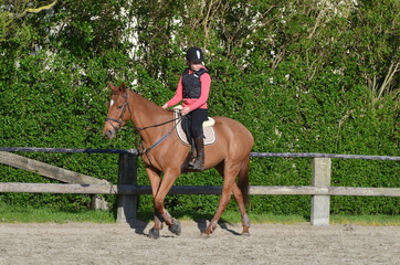 cours d'équitation