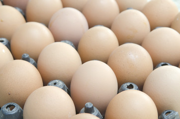 background of fresh eggs for sale at a market