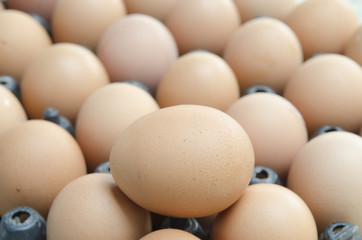 background of fresh eggs for sale at a market