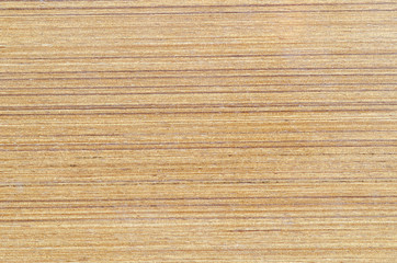 Texture of wood background closeup