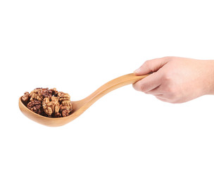 Hand holds spoon with walnuts.