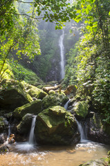 Tropical waterfall in rain forest