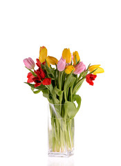 Сolorful bouquet of fresh spring tulip flowers in vase isolated
