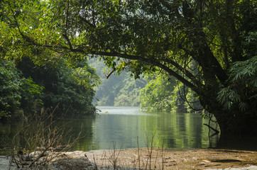 autumn view of lake , trees and bench