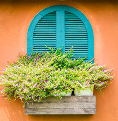 Tuscany window