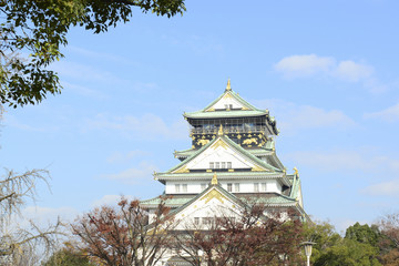 Fototapeta premium Castle