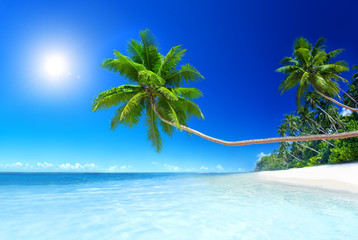 Scenic View of the Sea Shore with White Sand © Rawpixel.com