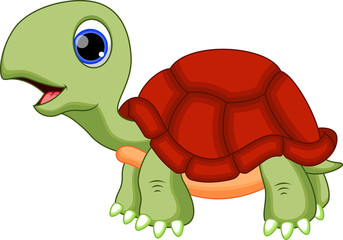 Cute turtle cartoon